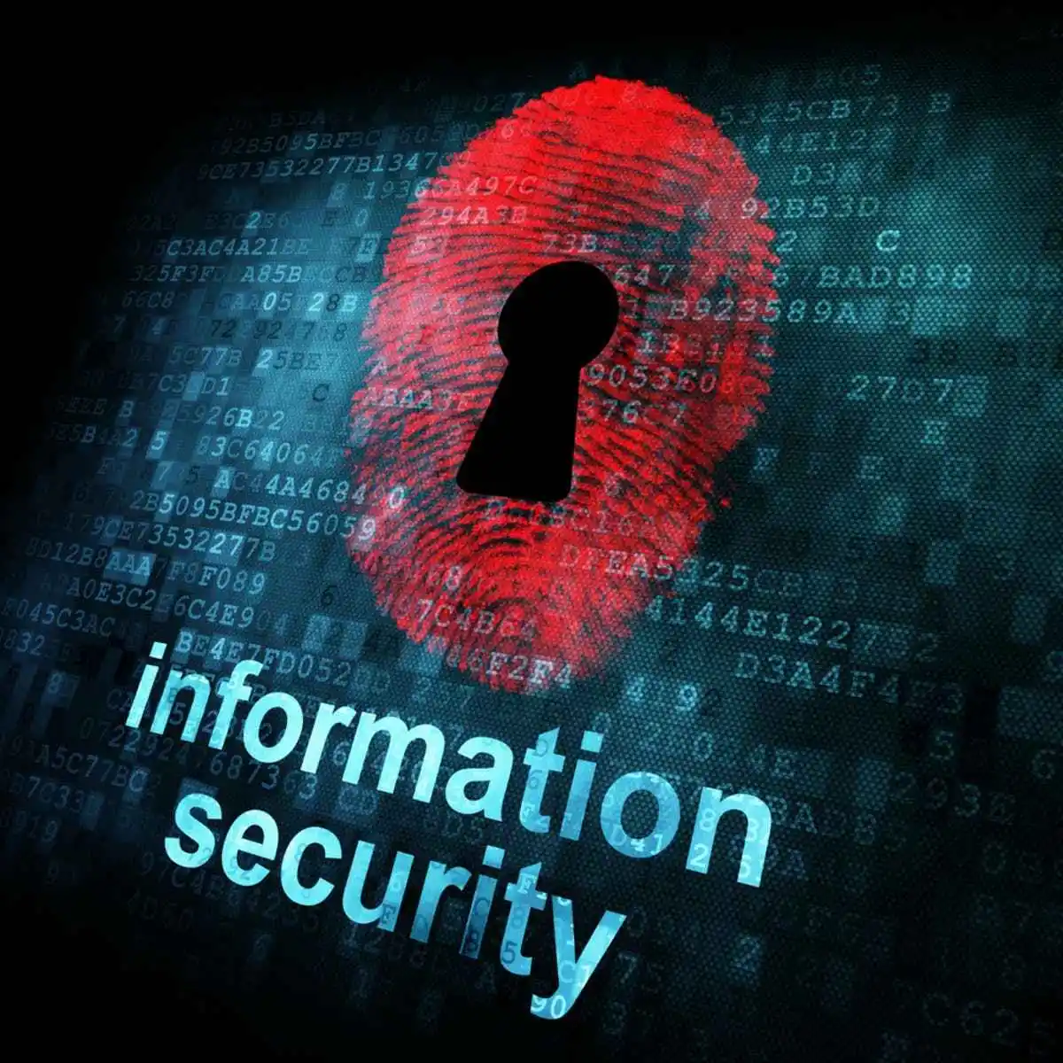 Cybersecurity Consulting